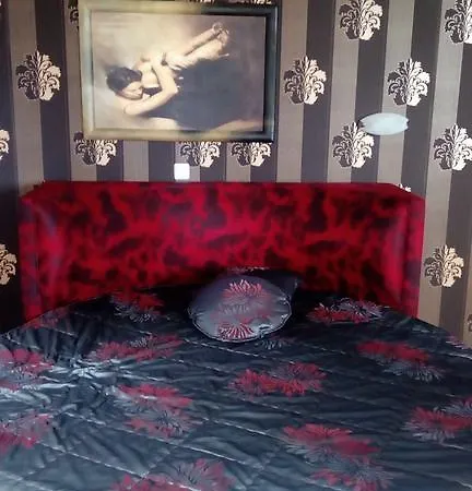 Apartament Kondor *